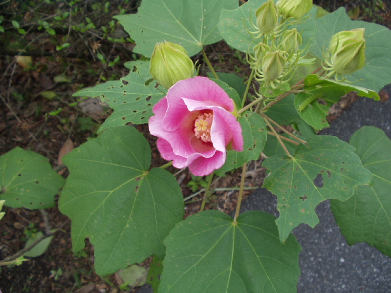 img0097.jpg