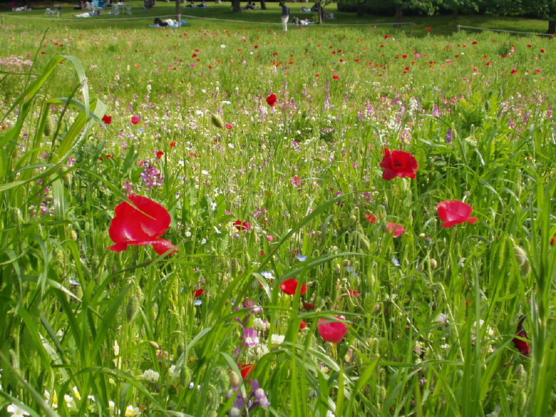 img0101.jpg