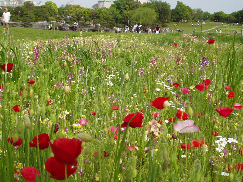 img0103.jpg