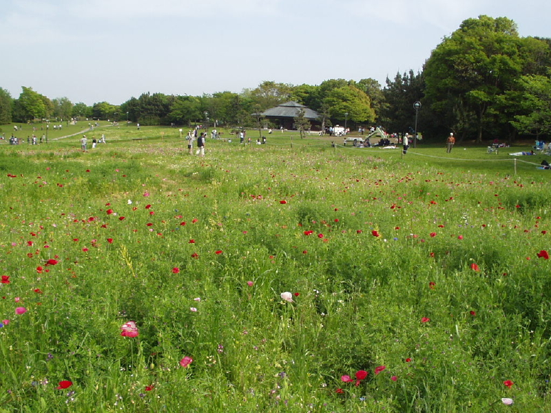 img0104.jpg