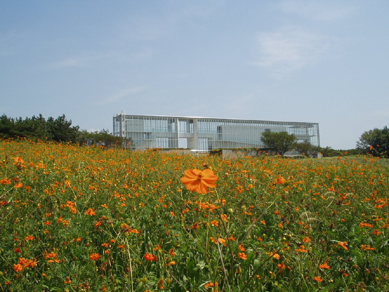 img0105.jpg