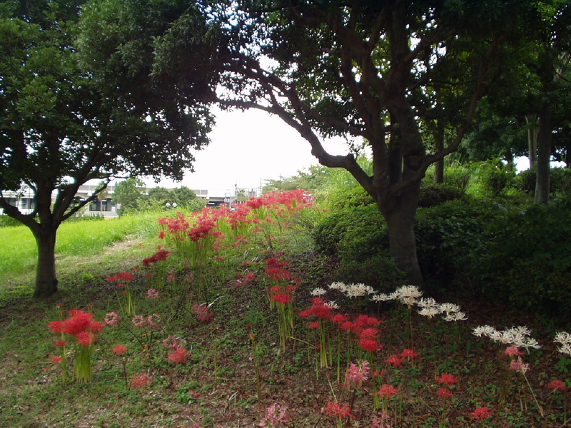 img0106.jpg