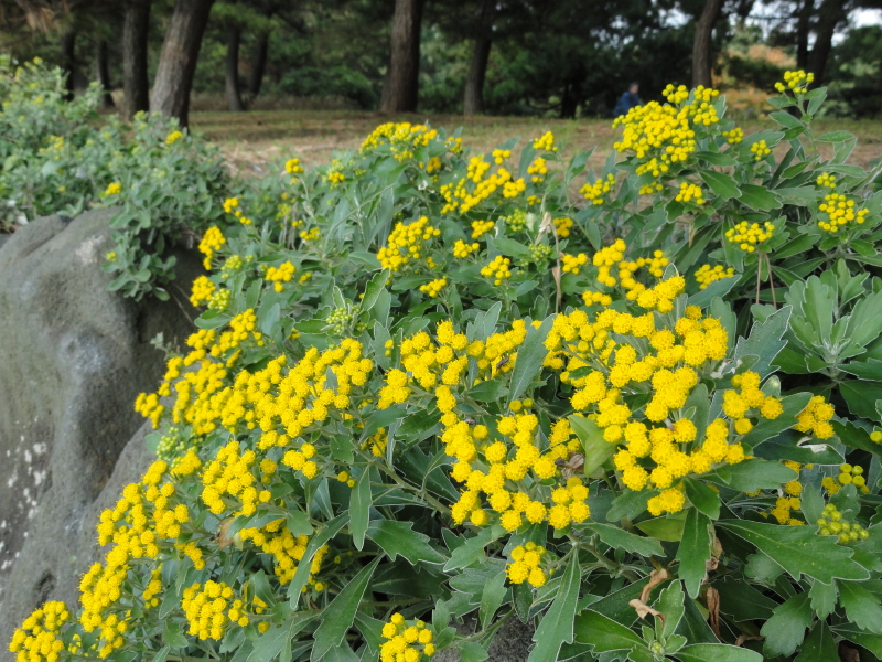 img0110.jpg
