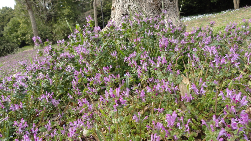 img0120.jpg