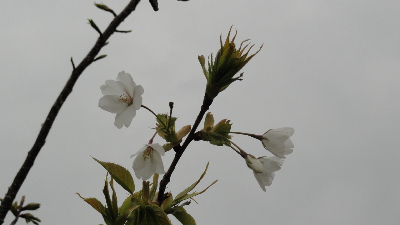 img0127.jpg