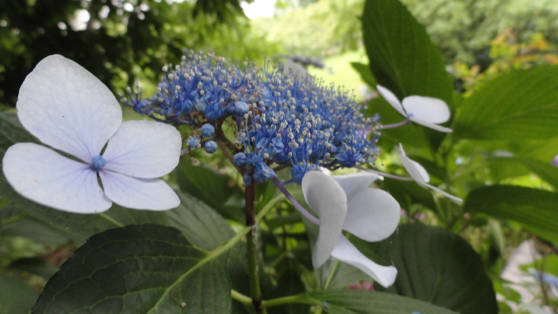 img0140.jpg