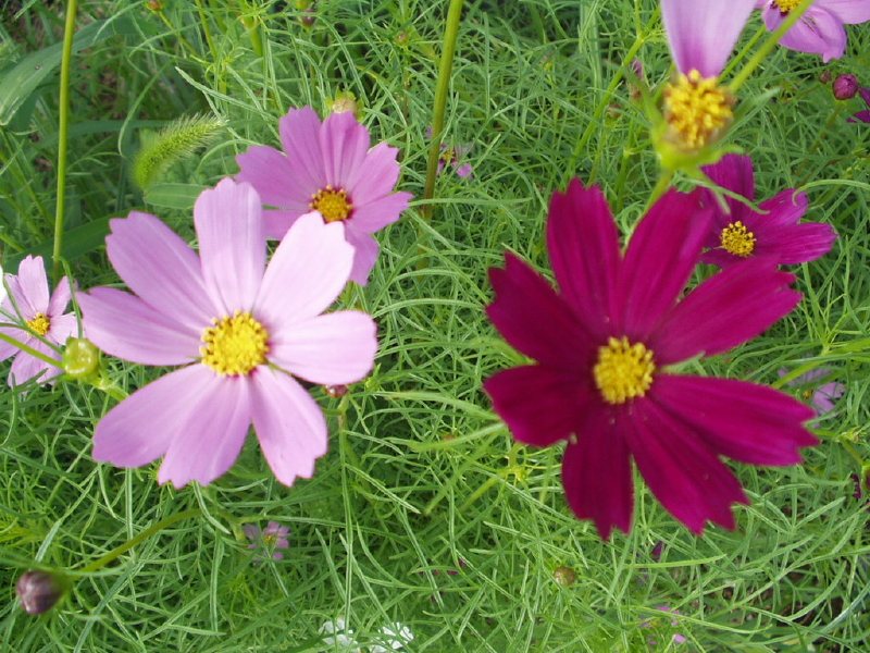 img0154.jpg