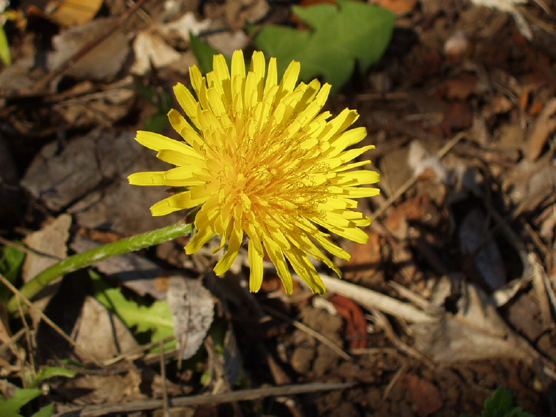 img0159.jpg