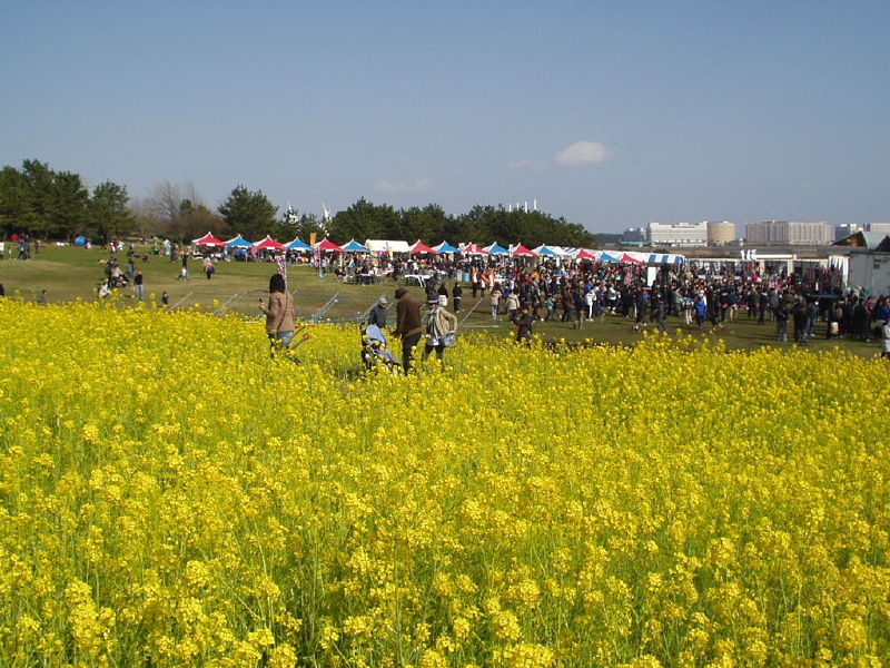 img0167.jpg
