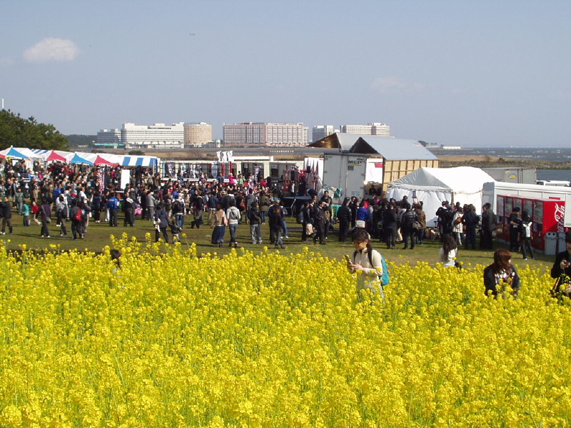 img0168.jpg