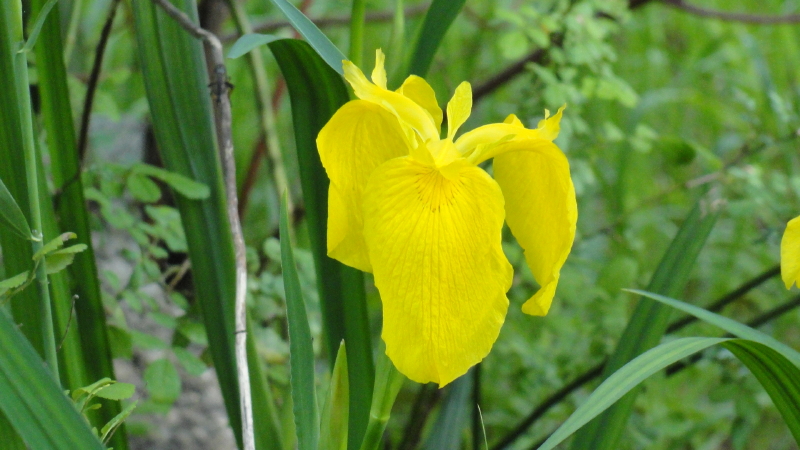 img0176.jpg