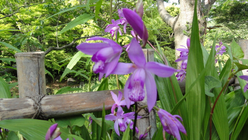 img0180.jpg