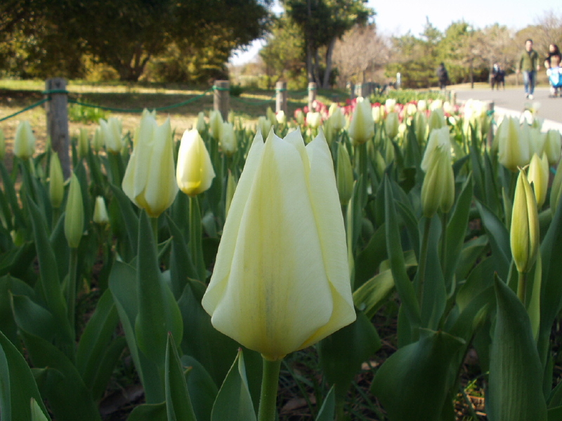 img0185.jpg