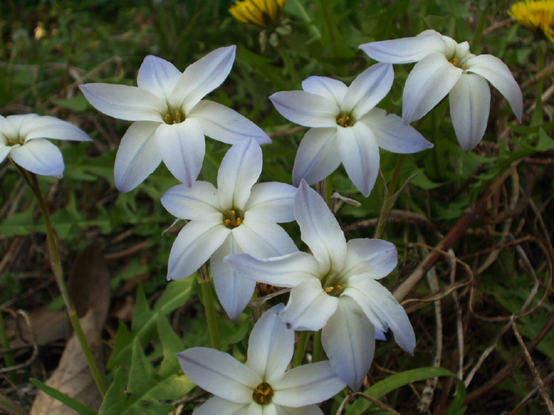 img0187.jpg