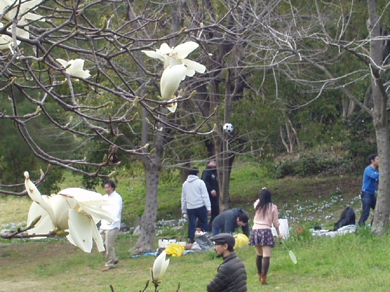 img0204.jpg