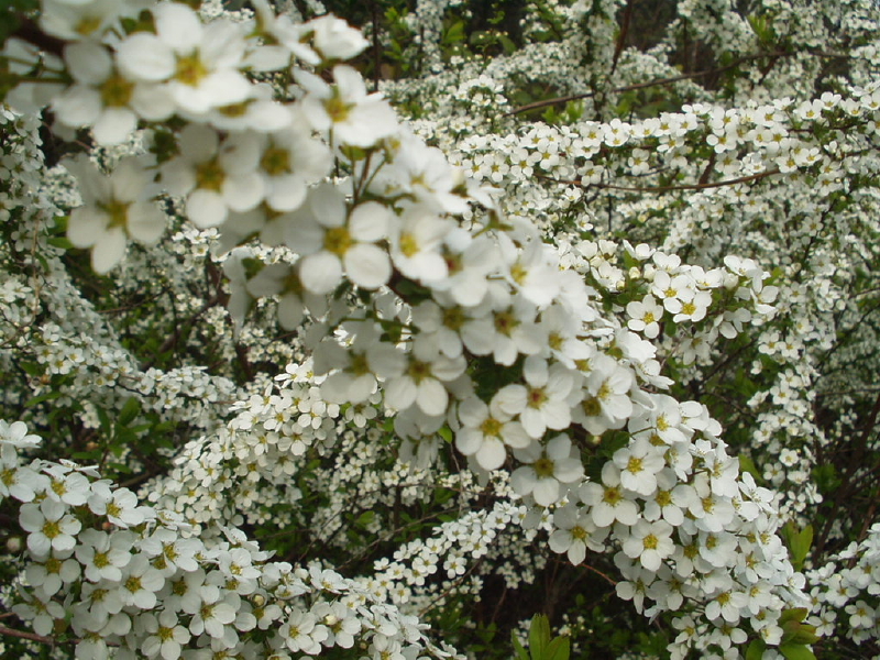img0205.jpg