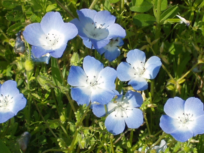 img0221.jpg