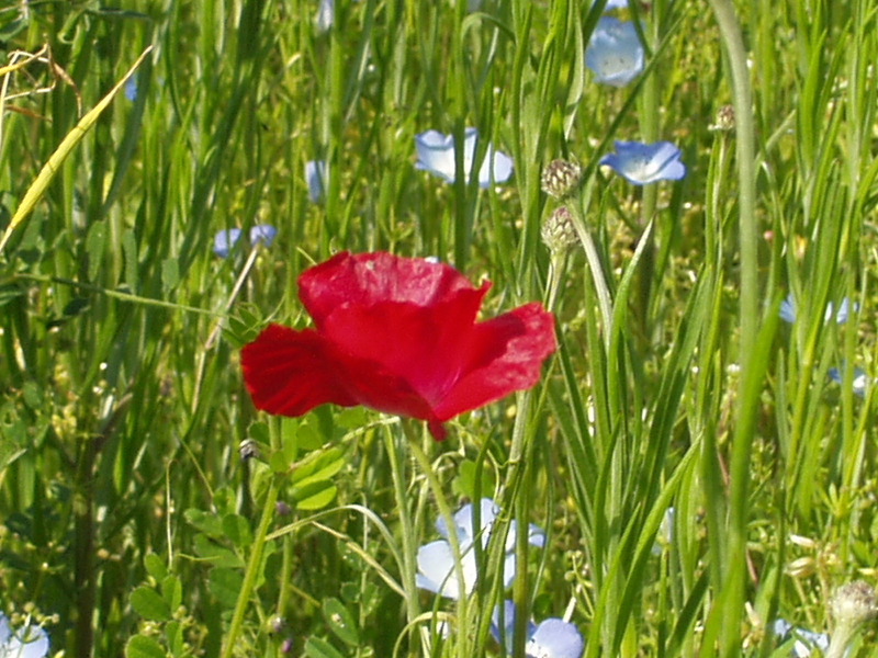 img0222.jpg