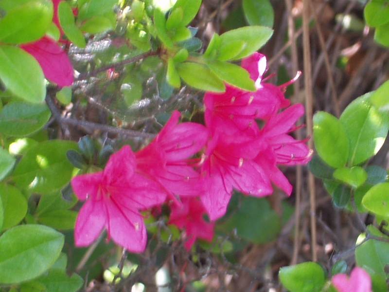 img0226.jpg
