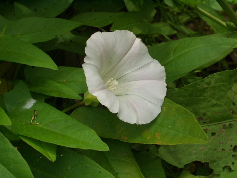 img0227.jpg