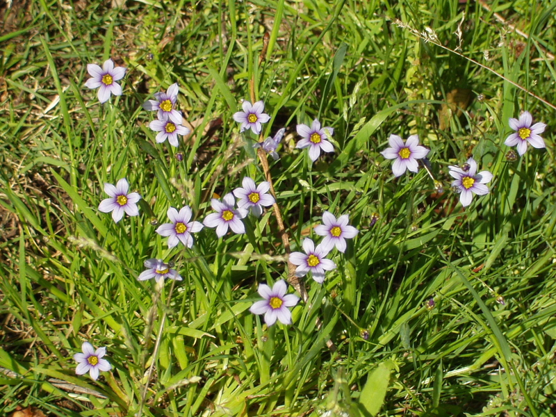 img0235.jpg