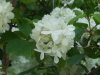 img0000.jpg