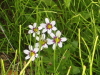img0001.jpg