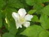 img0011.jpg