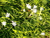 img0012.jpg