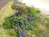 img0014.jpg