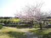 img0015.jpg