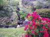 img0018.jpg