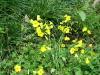 img0020.jpg