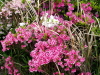 img0021.jpg
