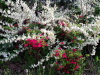 img0023.jpg