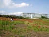img0027.jpg