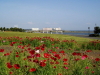 img0028.jpg