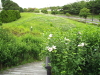 img0029.jpg