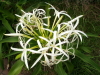 img0032.jpg
