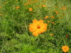 img0035.jpg