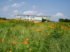 img0036.jpg