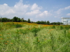img0037.jpg