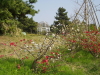img0044.jpg