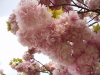 img0047.jpg
