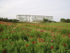 img0048.jpg