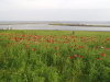 img0049.jpg