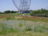 img0053.jpg