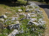 img0055.jpg