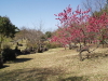 img0056.jpg