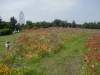 img0058.jpg